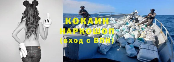 гашик Алексин