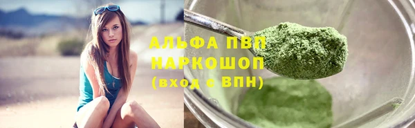 гашик Алексин