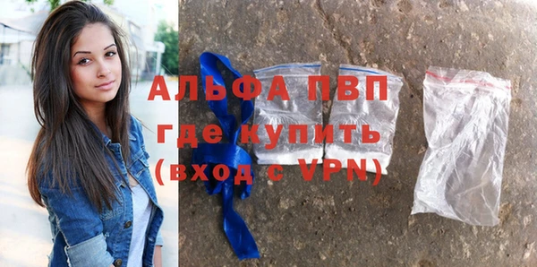 гашик Алексин