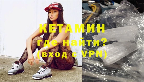 гашик Алексин