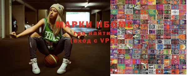 гашик Алексин