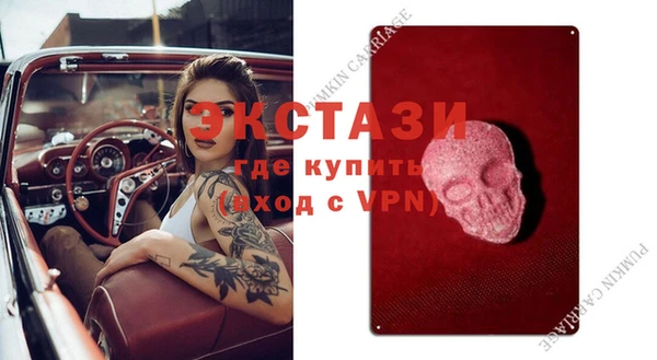 гашик Алексин